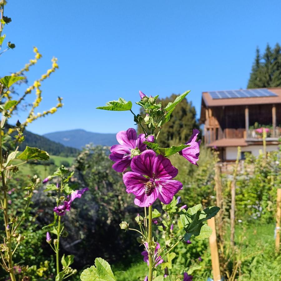 ホテル Tiny House Am Steinergut ラートシュタット エクステリア 写真
