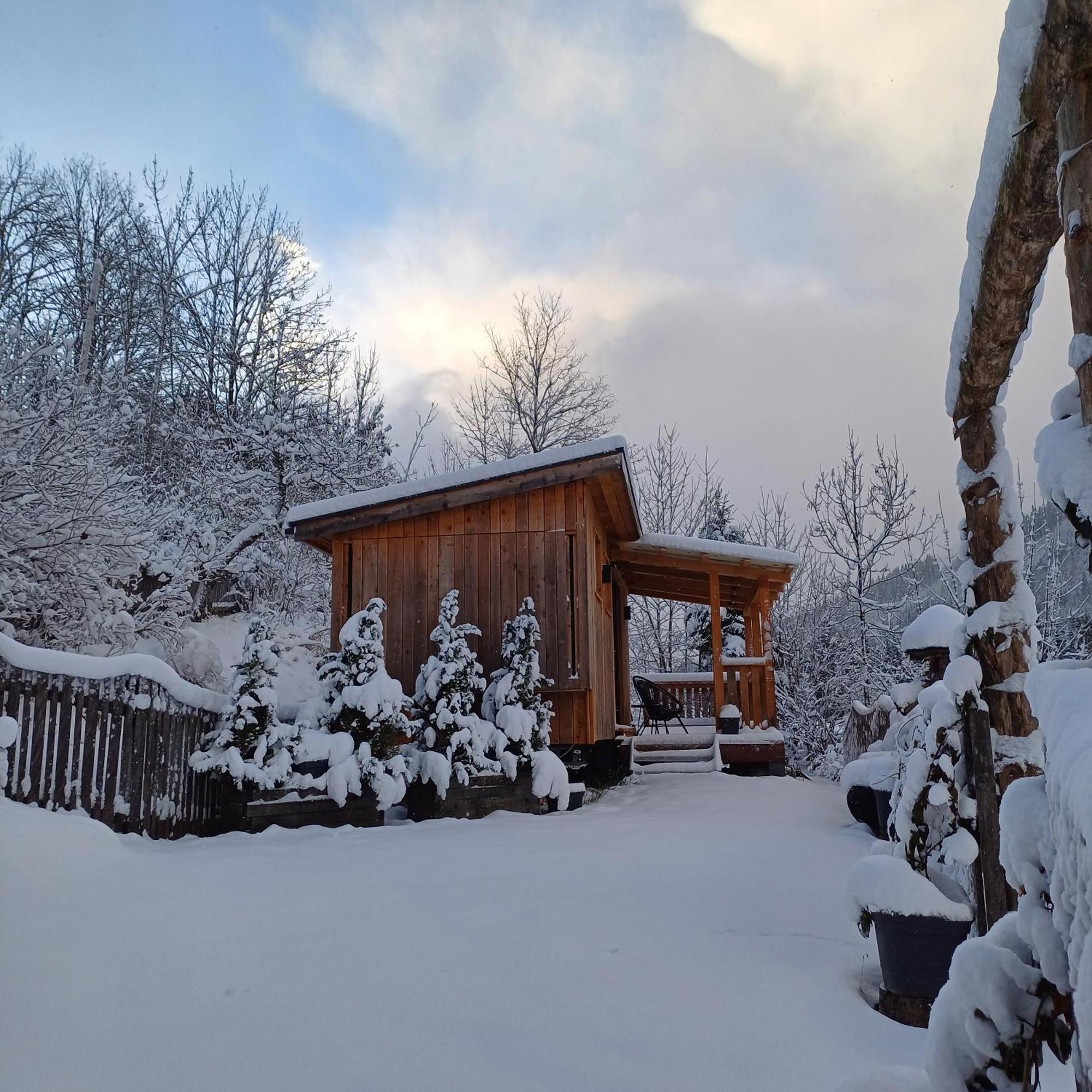 ホテル Tiny House Am Steinergut ラートシュタット エクステリア 写真