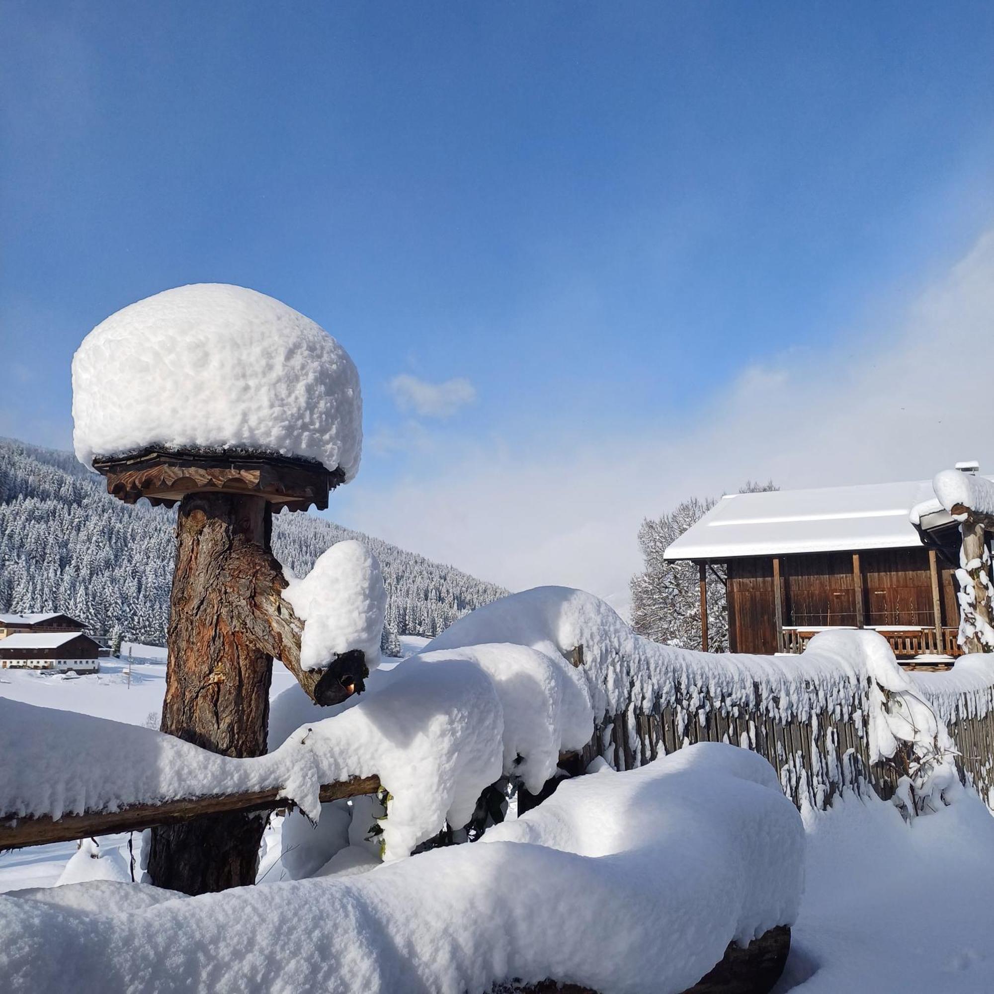 ホテル Tiny House Am Steinergut ラートシュタット エクステリア 写真